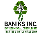 Baniks Inc Logo